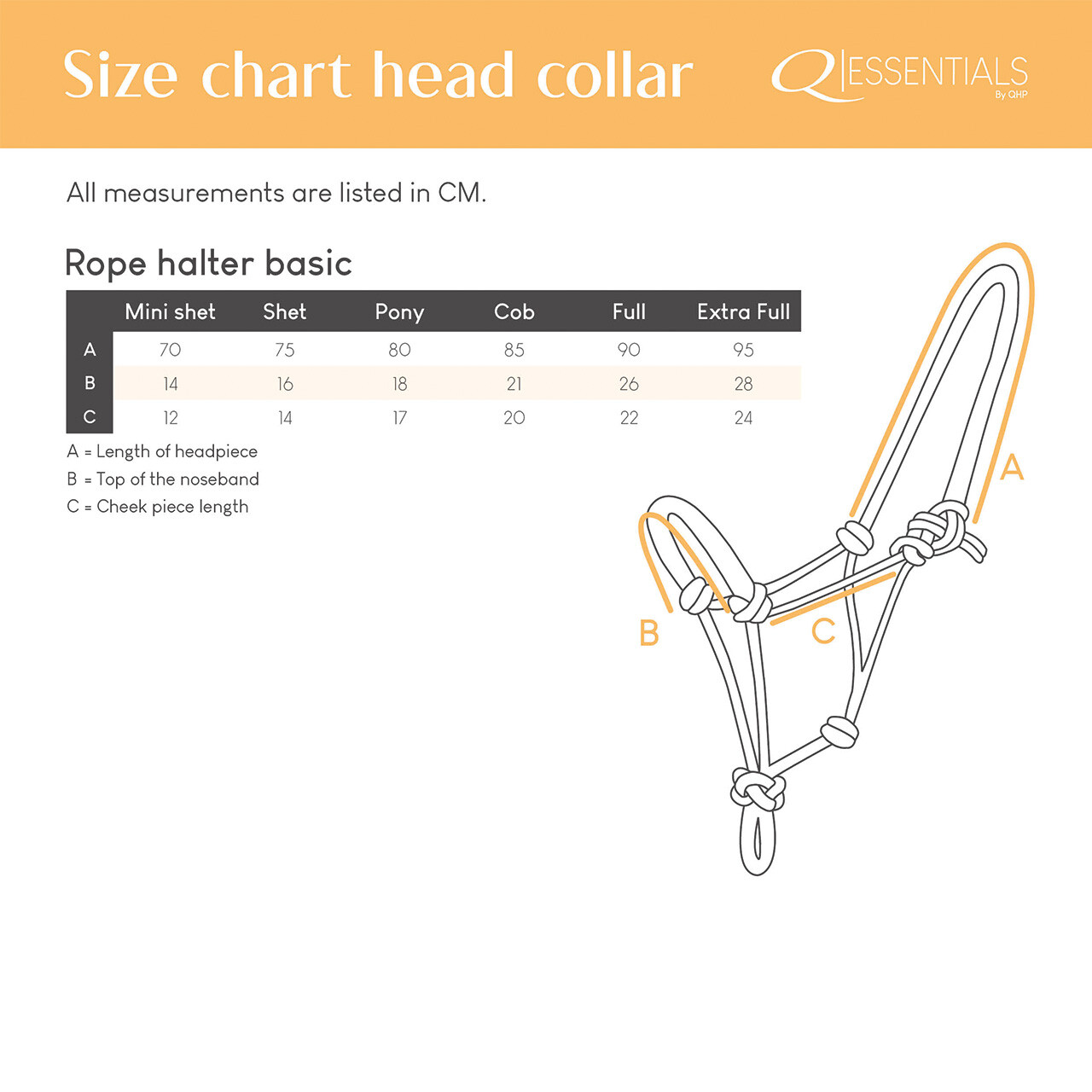Rope halter basic