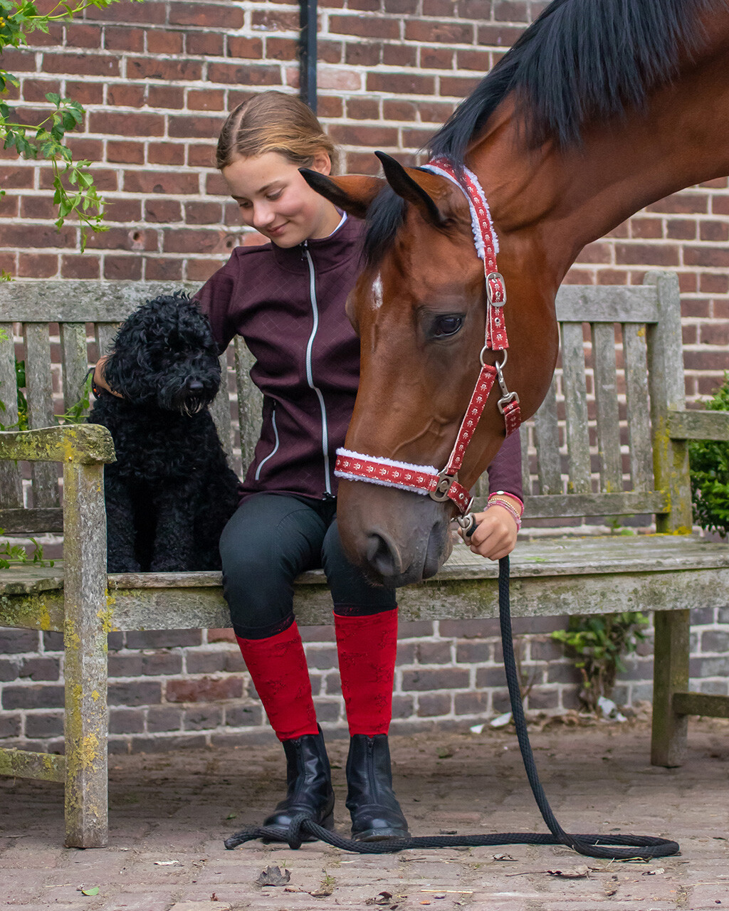Head collar Christmas