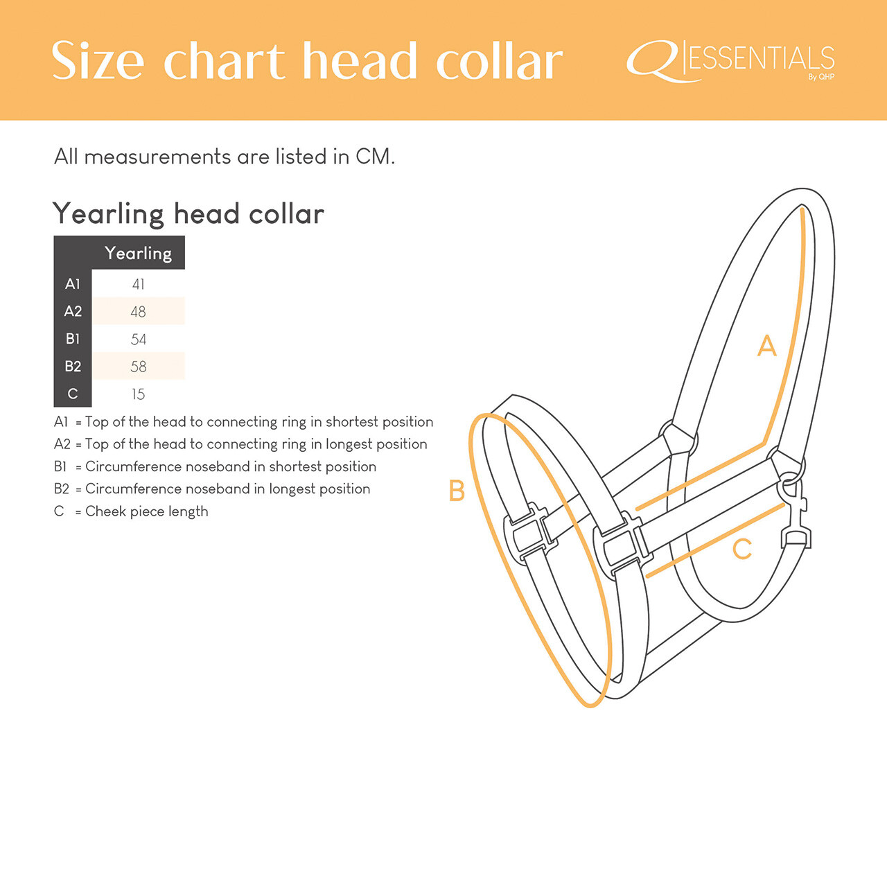 Head collar Yearling