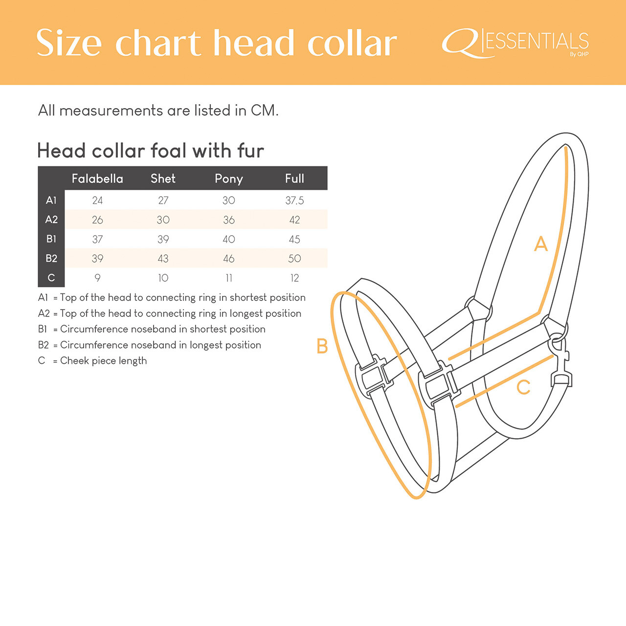 Head collar foal with fur