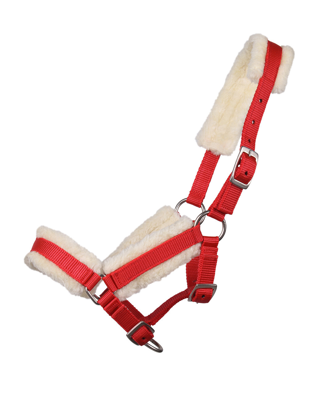 Head collar foal with fur