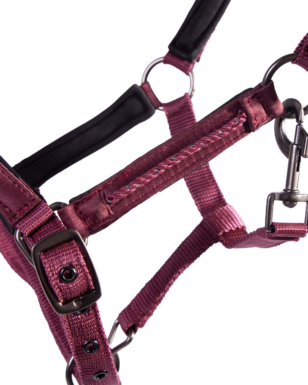 Head collar foal Lily