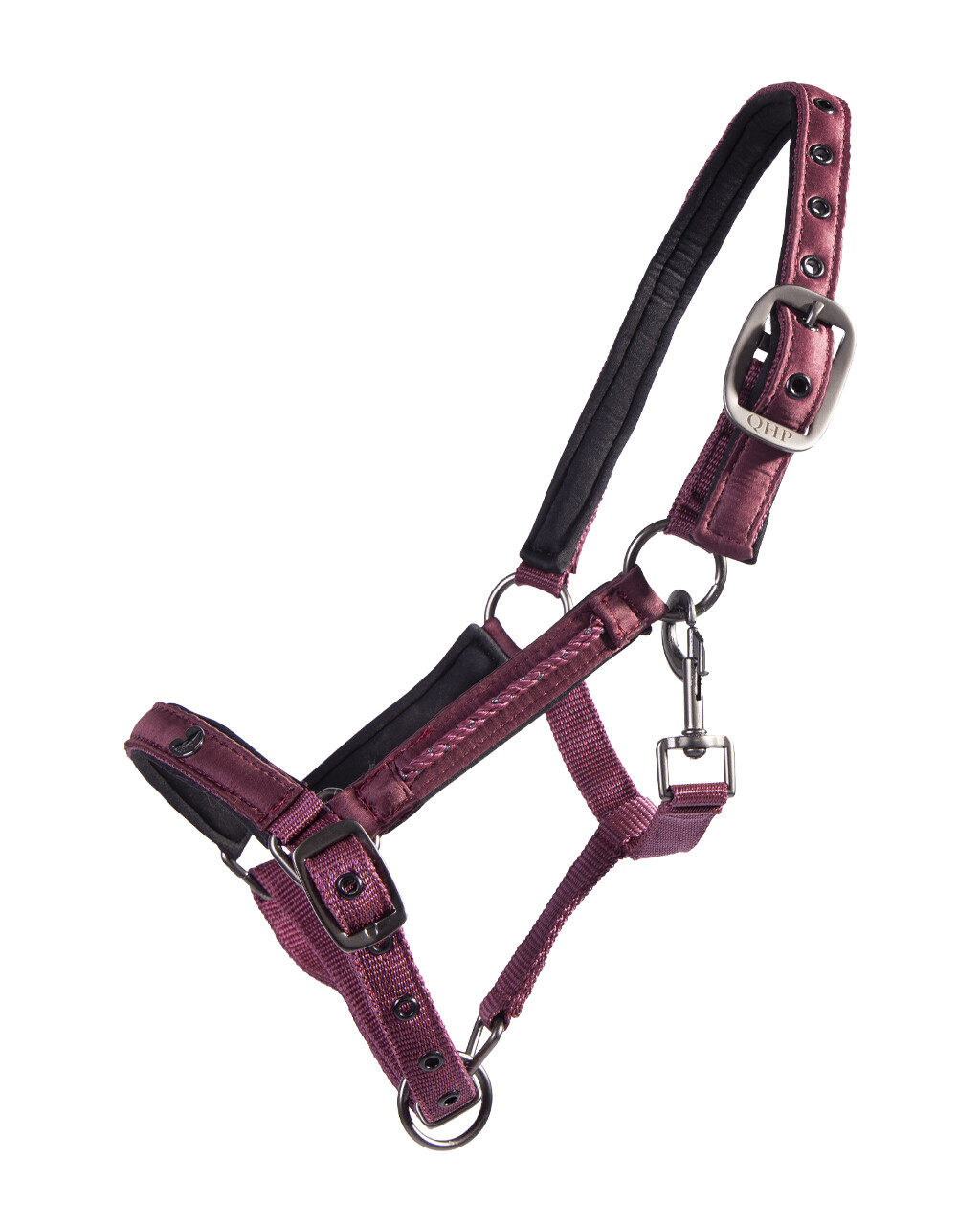 Head collar foal Lily