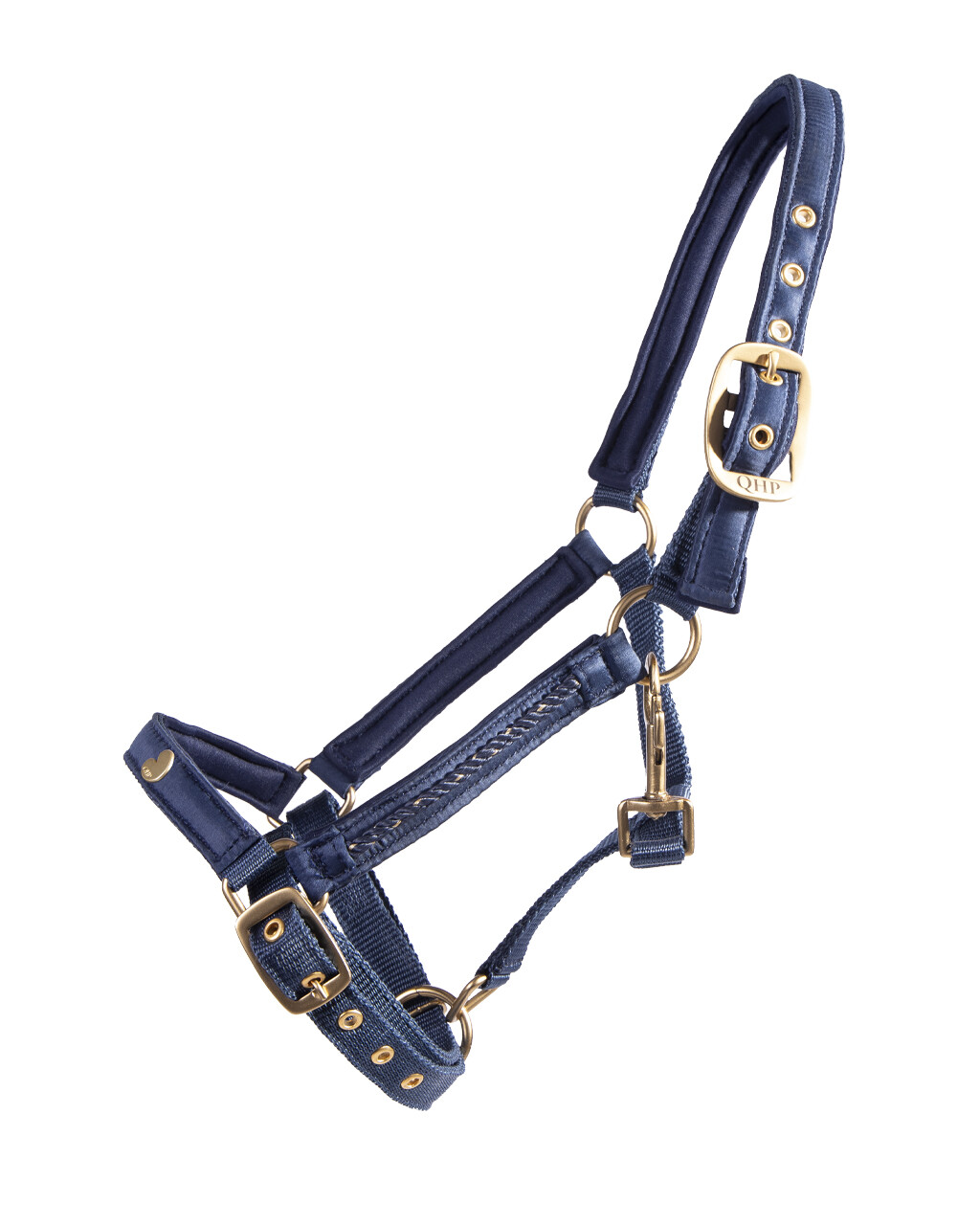 Head collar foal Lily