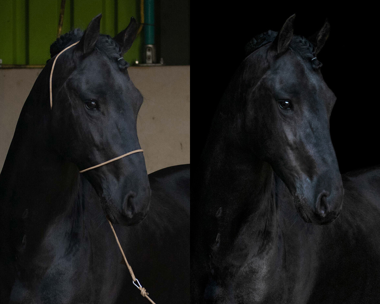 Fotografický postroj Beige