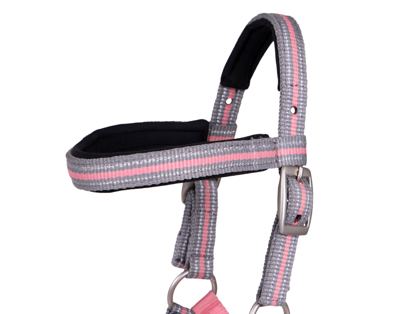 Head collar foal Flore with browband