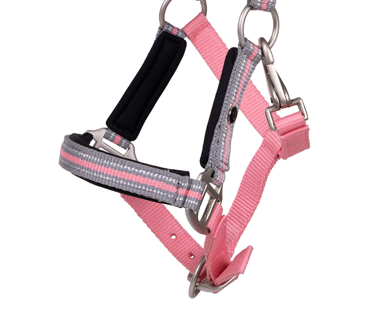 Head collar foal Flore with browband