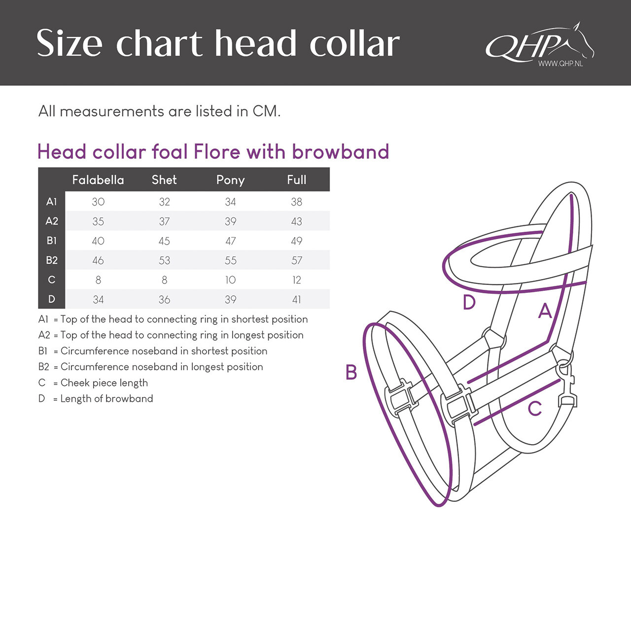 Head collar foal Flore with browband