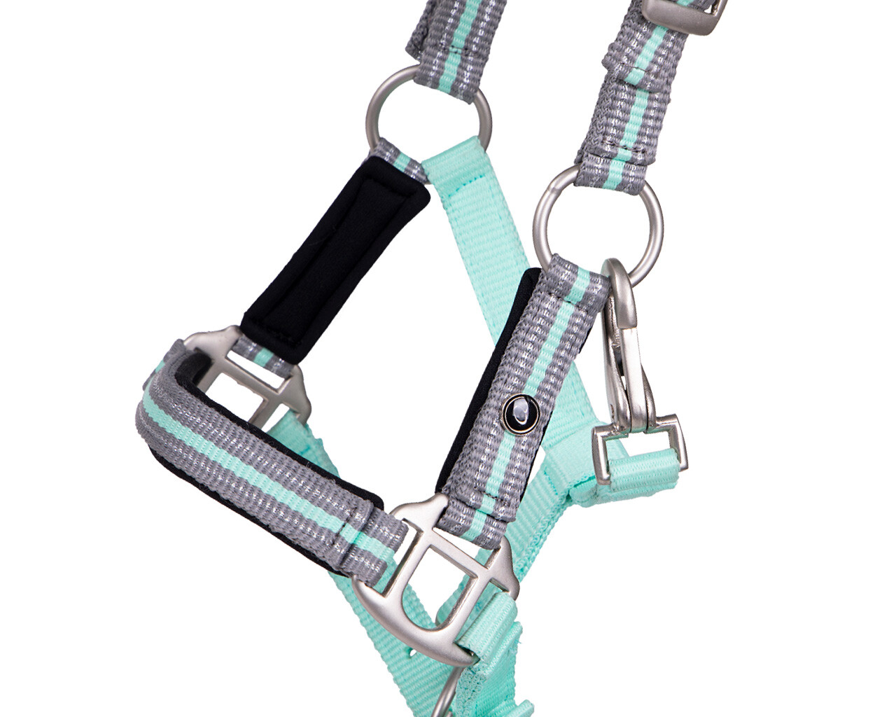 Head collar foal Flore with browband