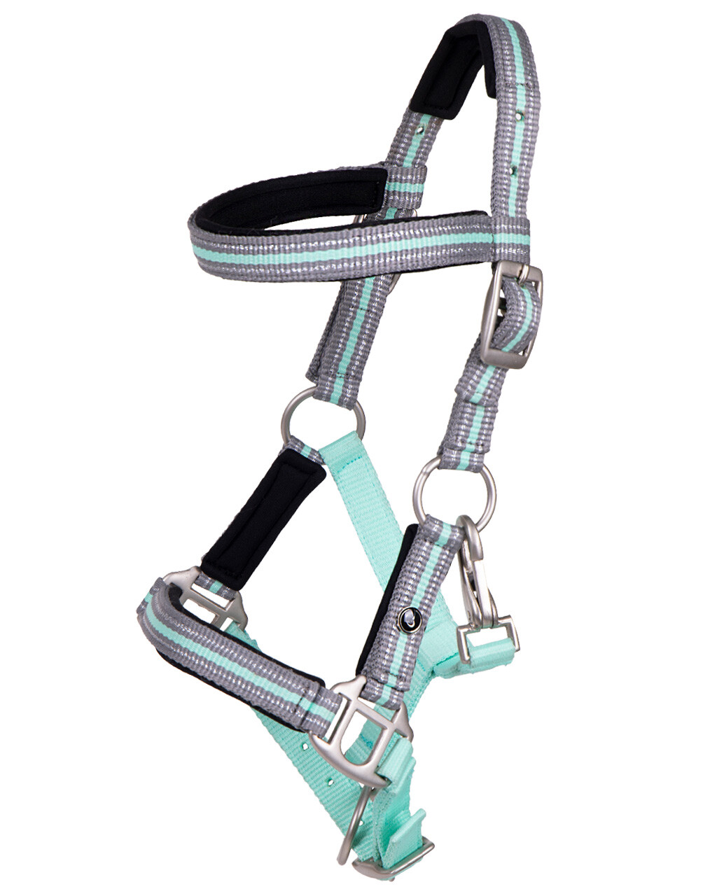 Head collar foal Flore with browband