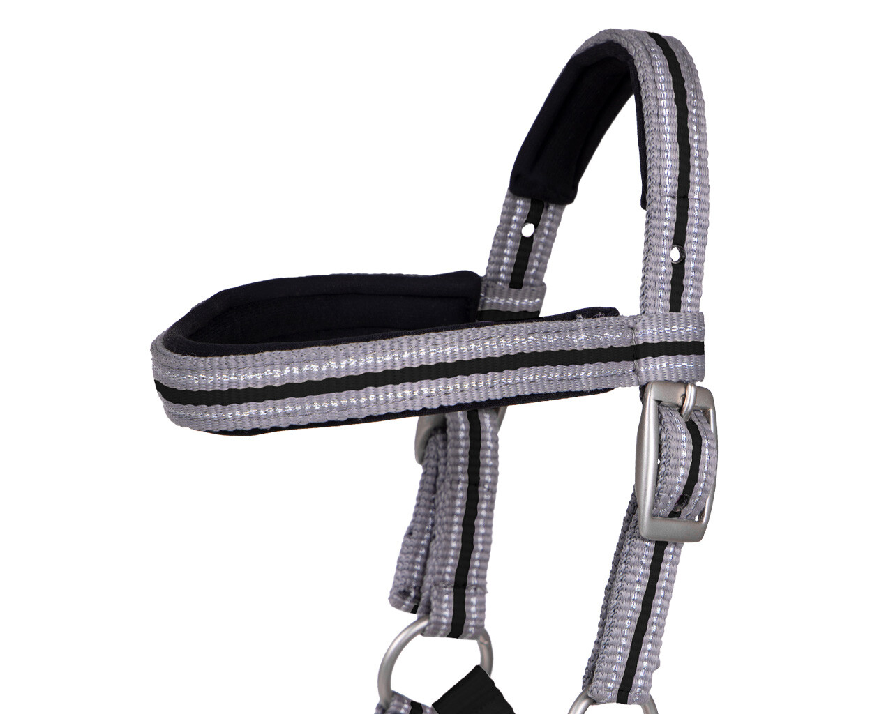 Head collar foal Flore with browband