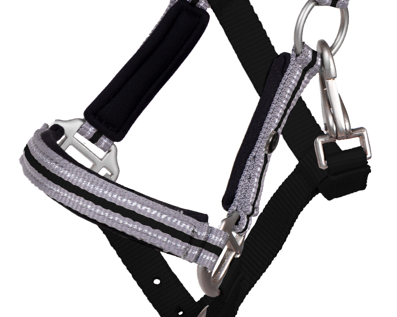 Head collar foal Flore with browband