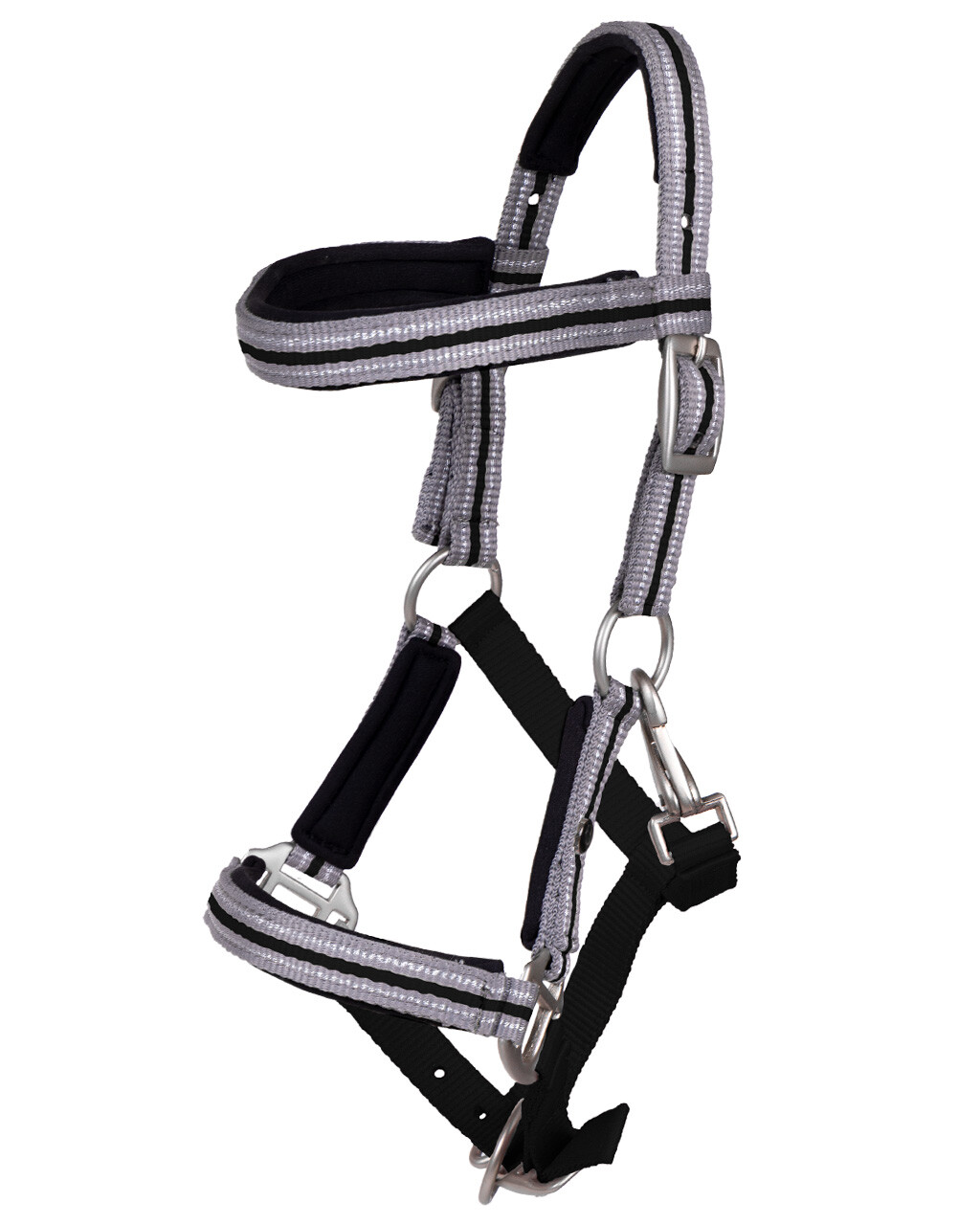 Head collar foal Flore with browband