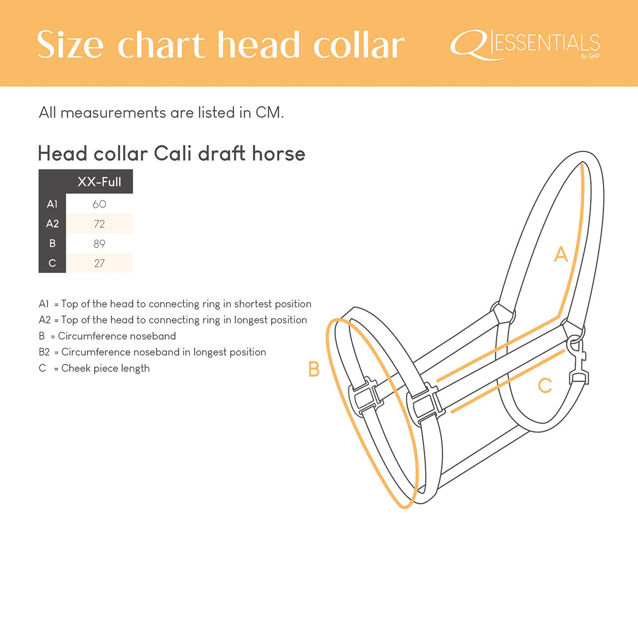 Head collar Cali draft horse