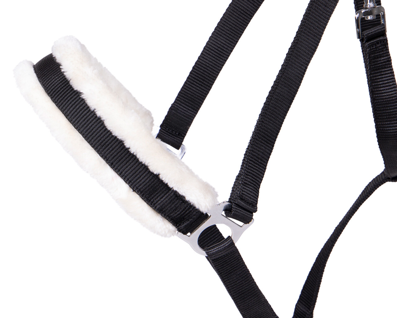 Head collar Cali draft horse