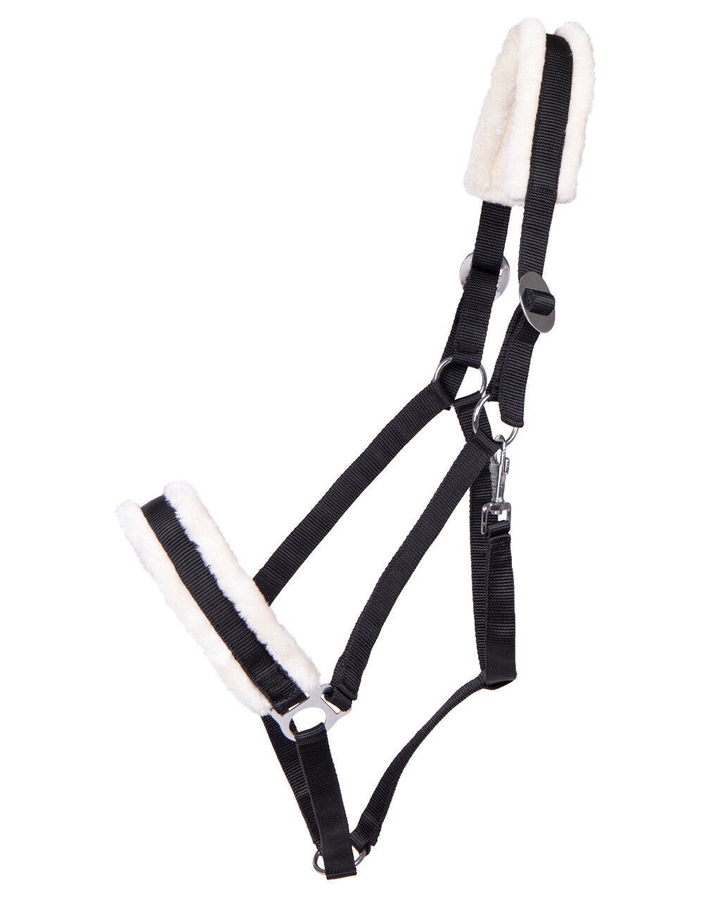 Head collar Cali draft horse