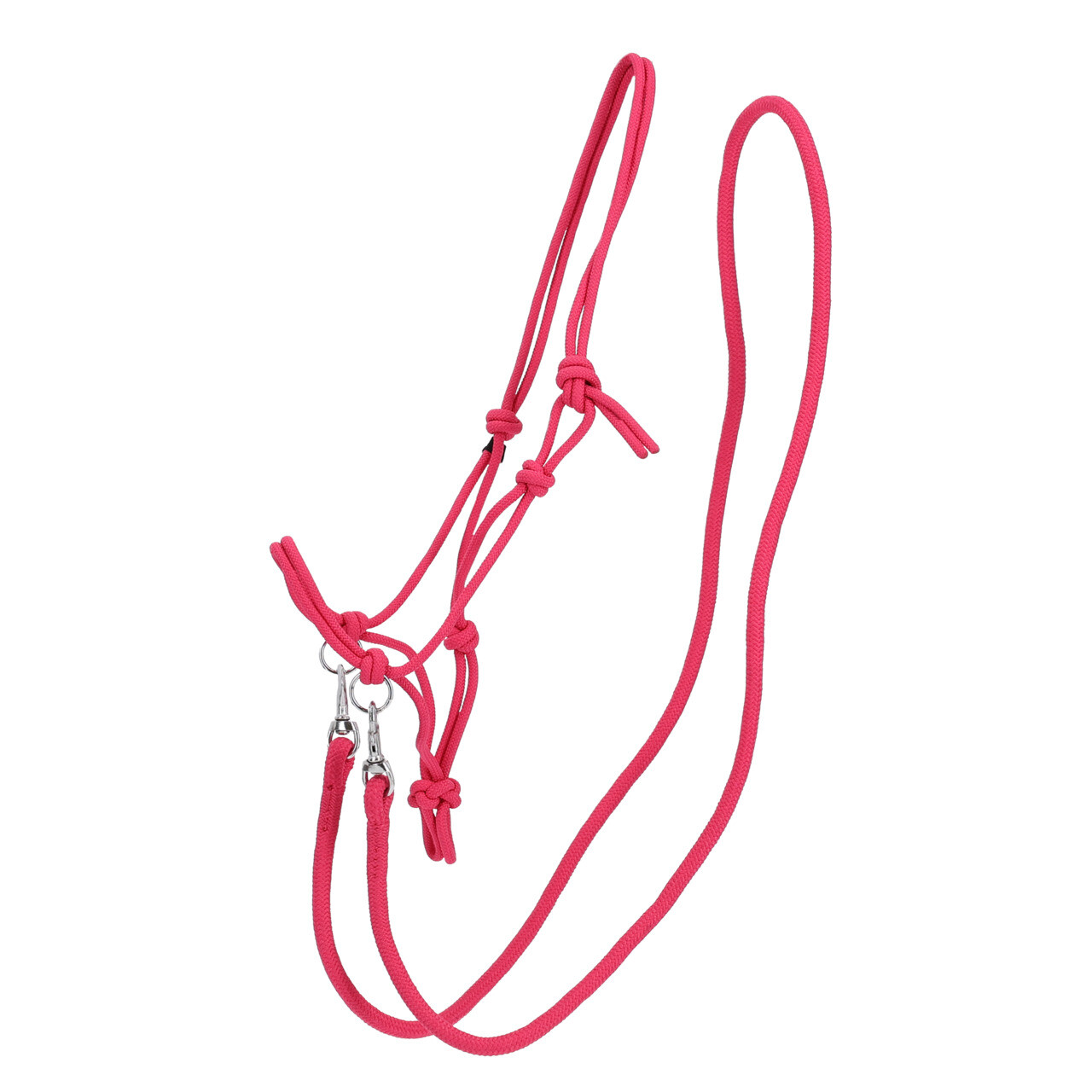 Rope halter Color with rein