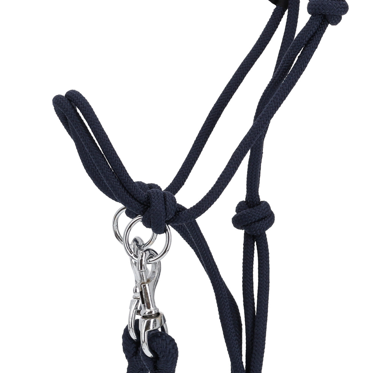 Rope halter Color with rein