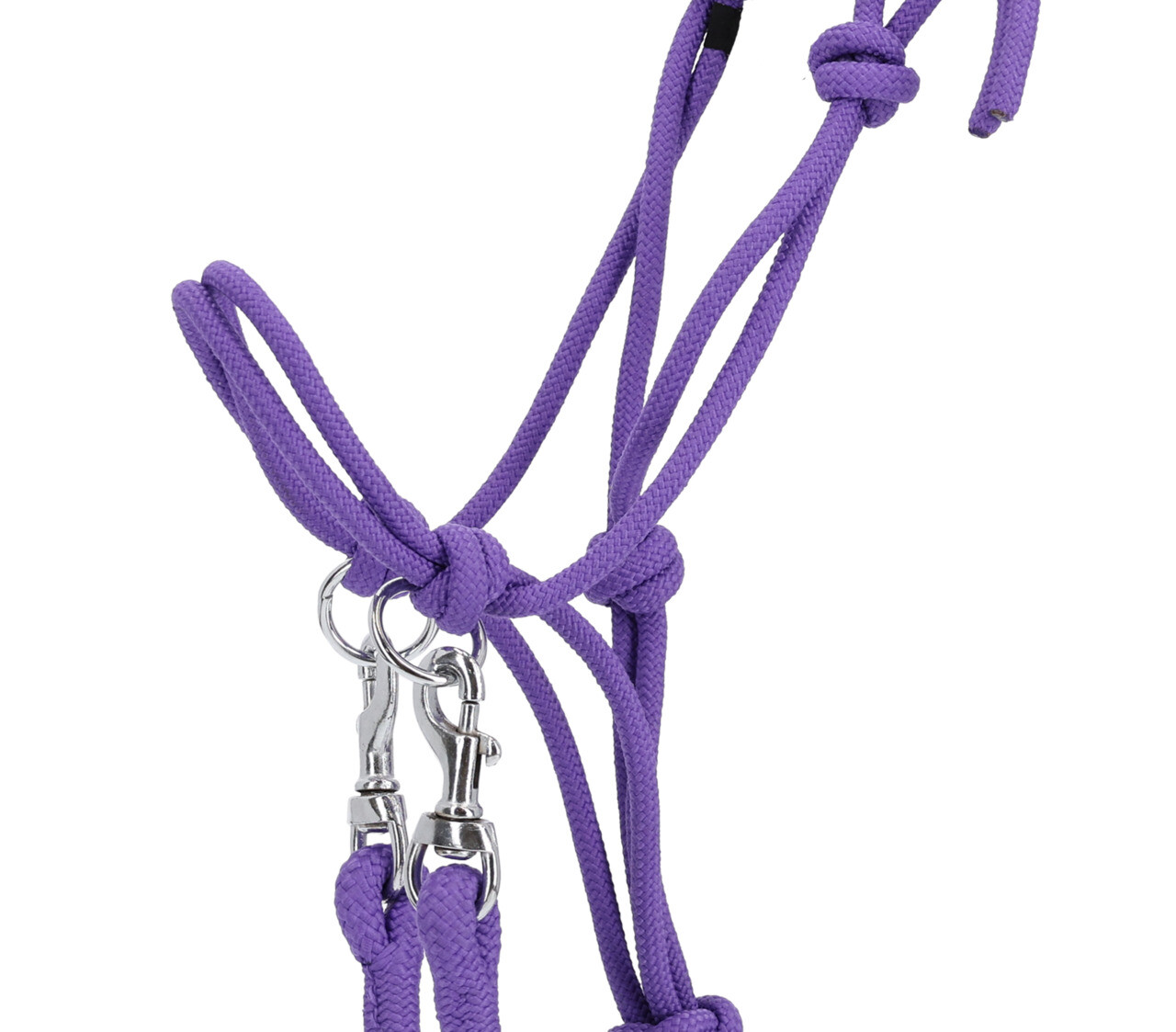 Rope halter Color with rein