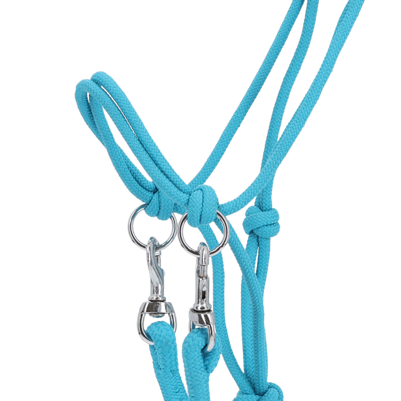 Rope halter Color with rein