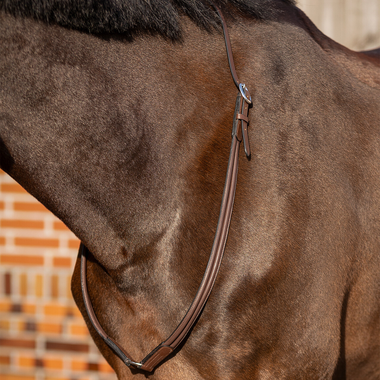 Neck rope leather Liberta