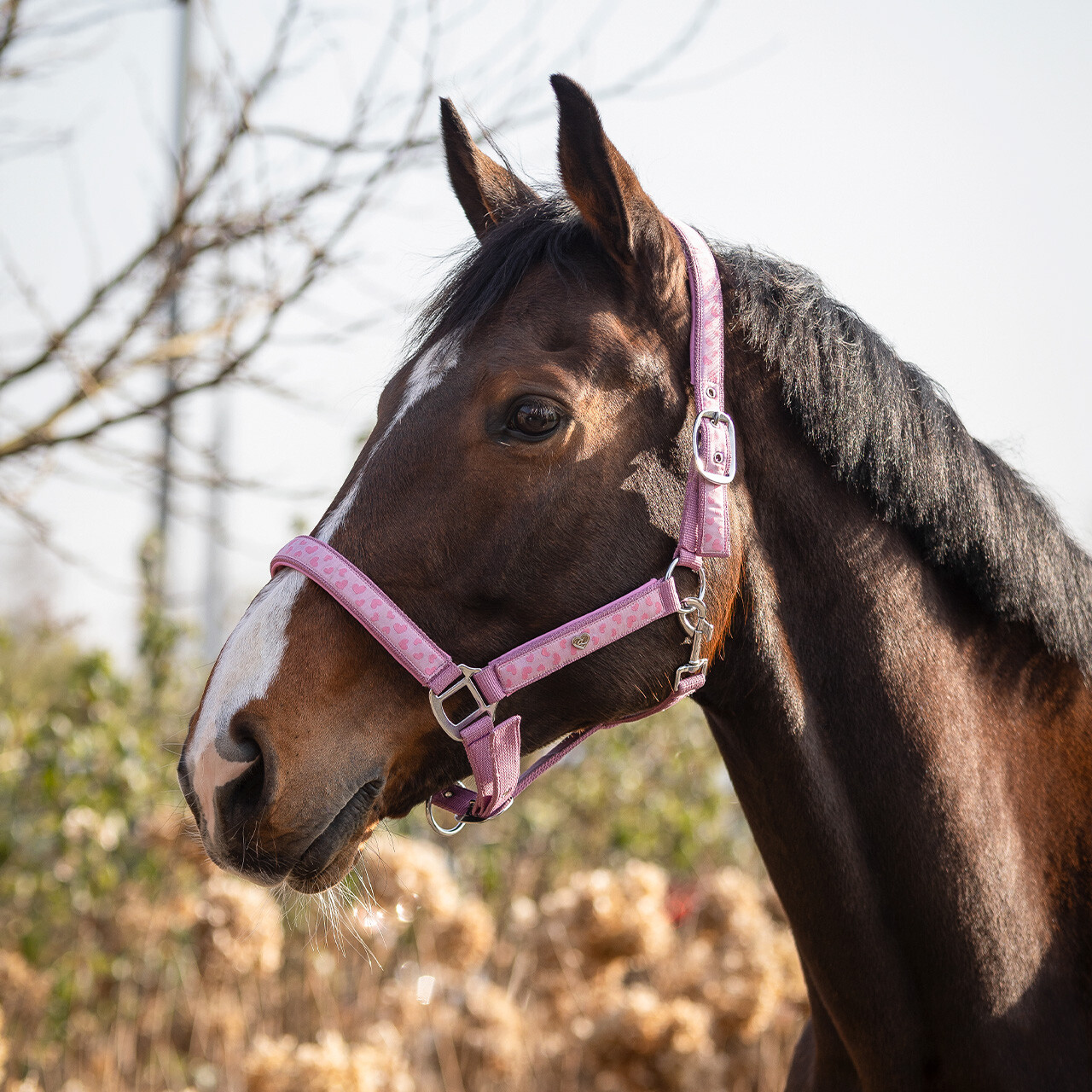 Head collar Lyvia