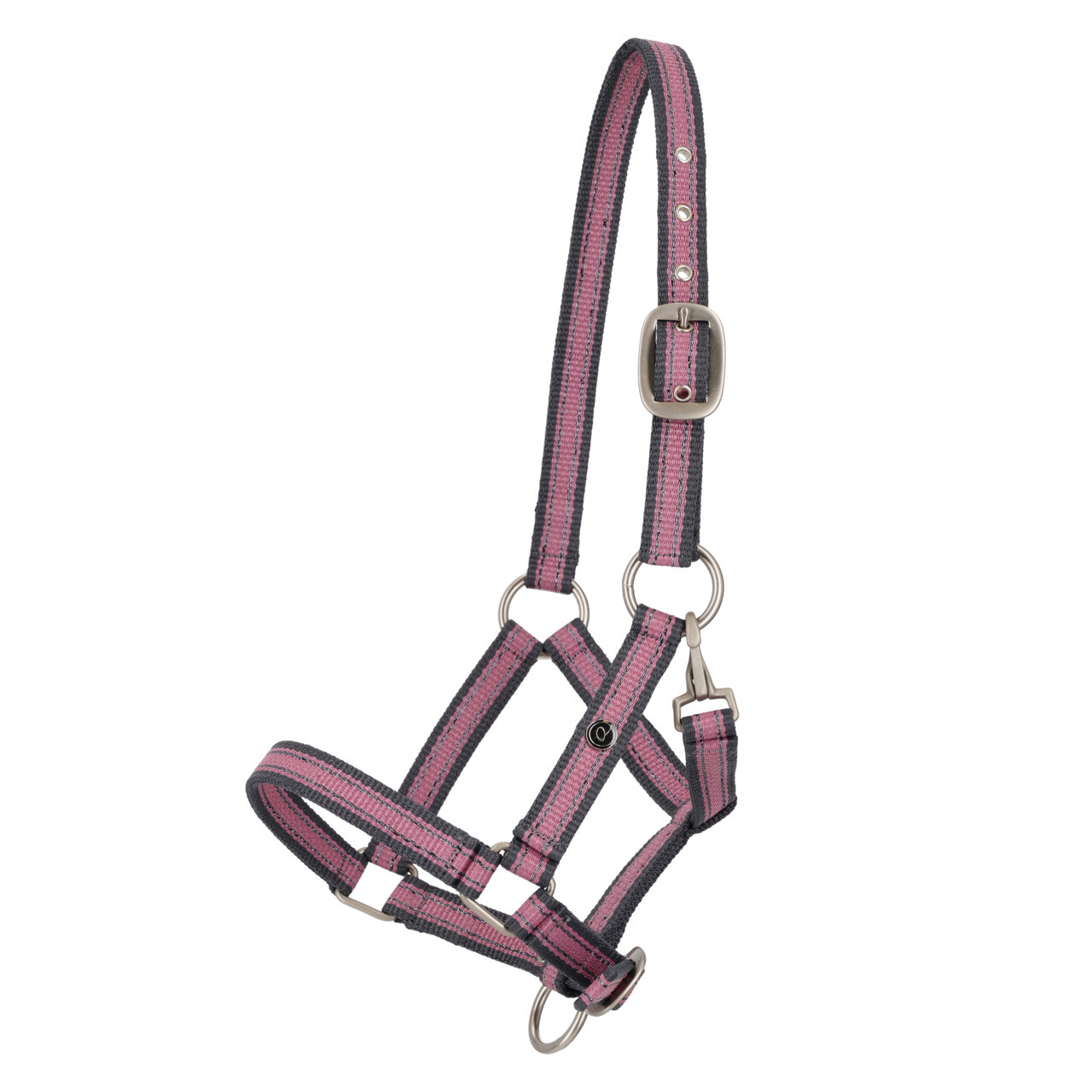 Head collar foal collection