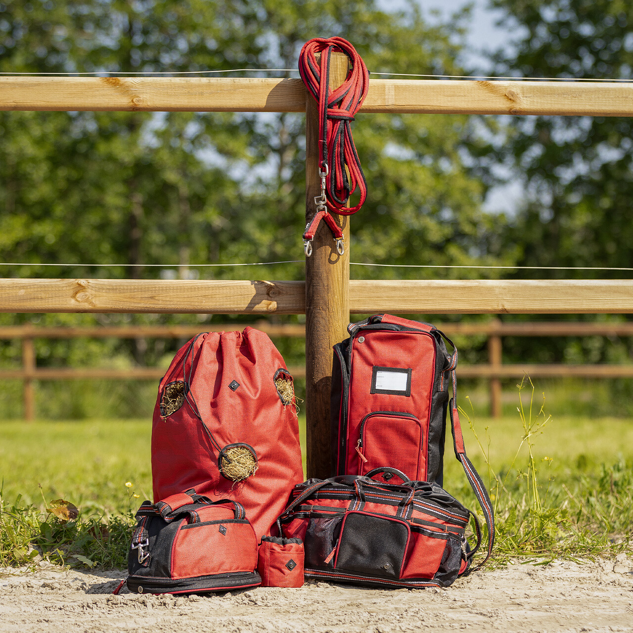 Lunge attachment collection