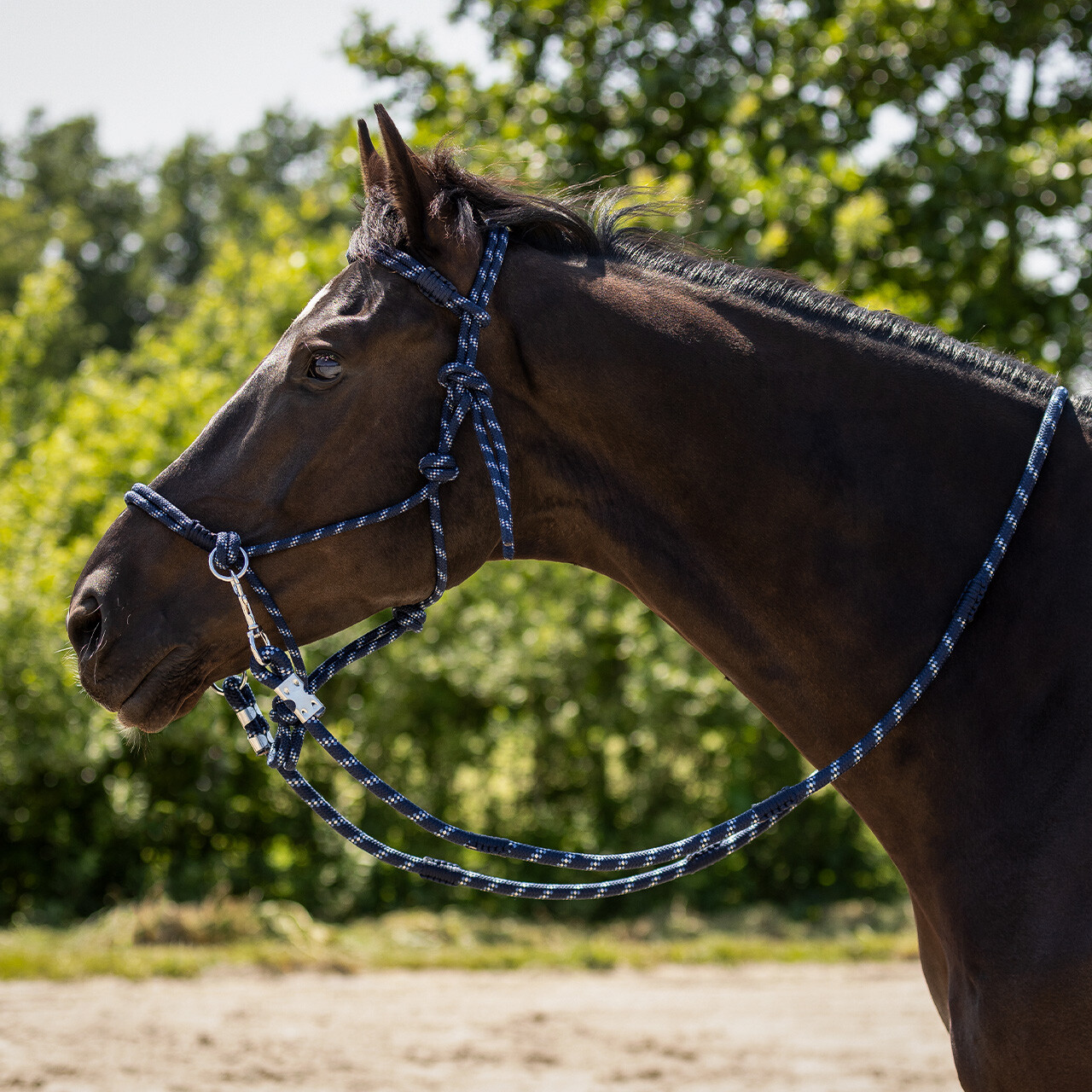 Rope halter Aubree with rein