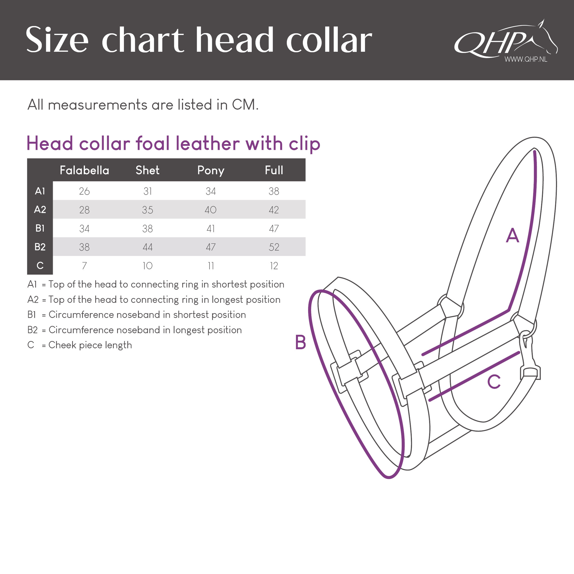 Head collar foal leather with clip