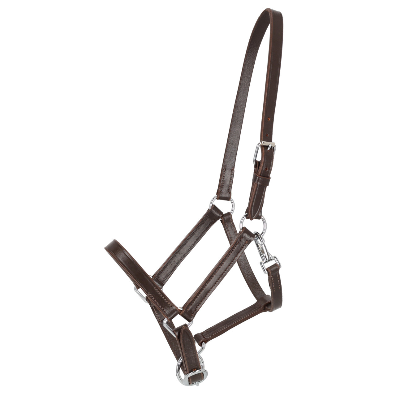 Head collar foal leather with clip