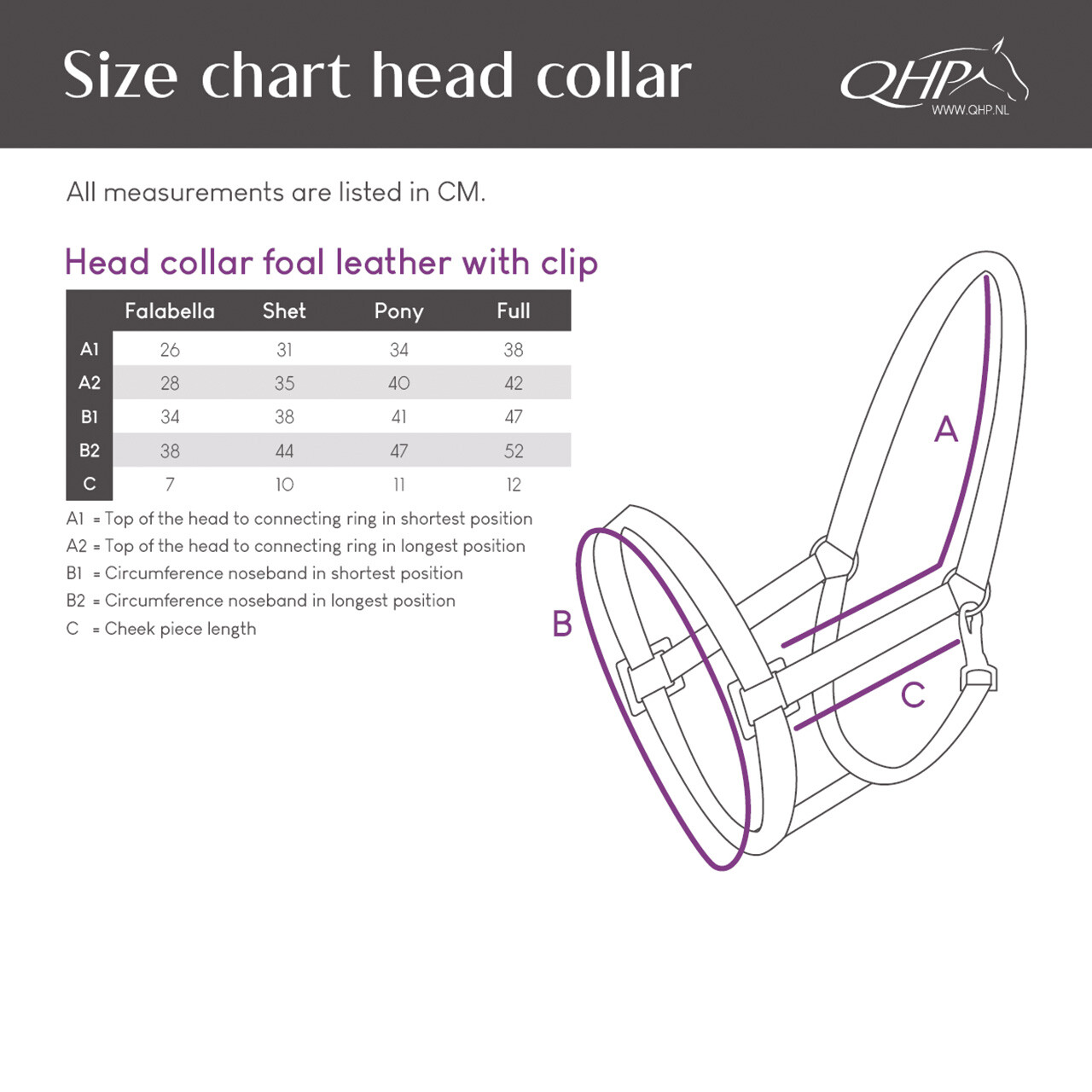 Head collar foal leather with clip