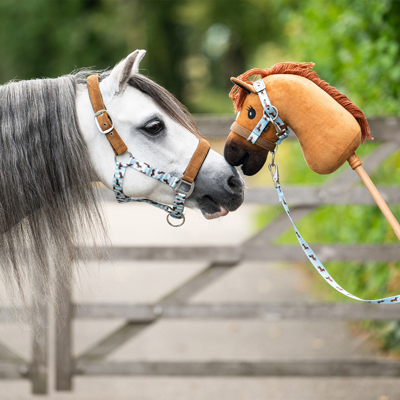 Sada ohlávky Stable Buddy Jezevčík, velikost Cob