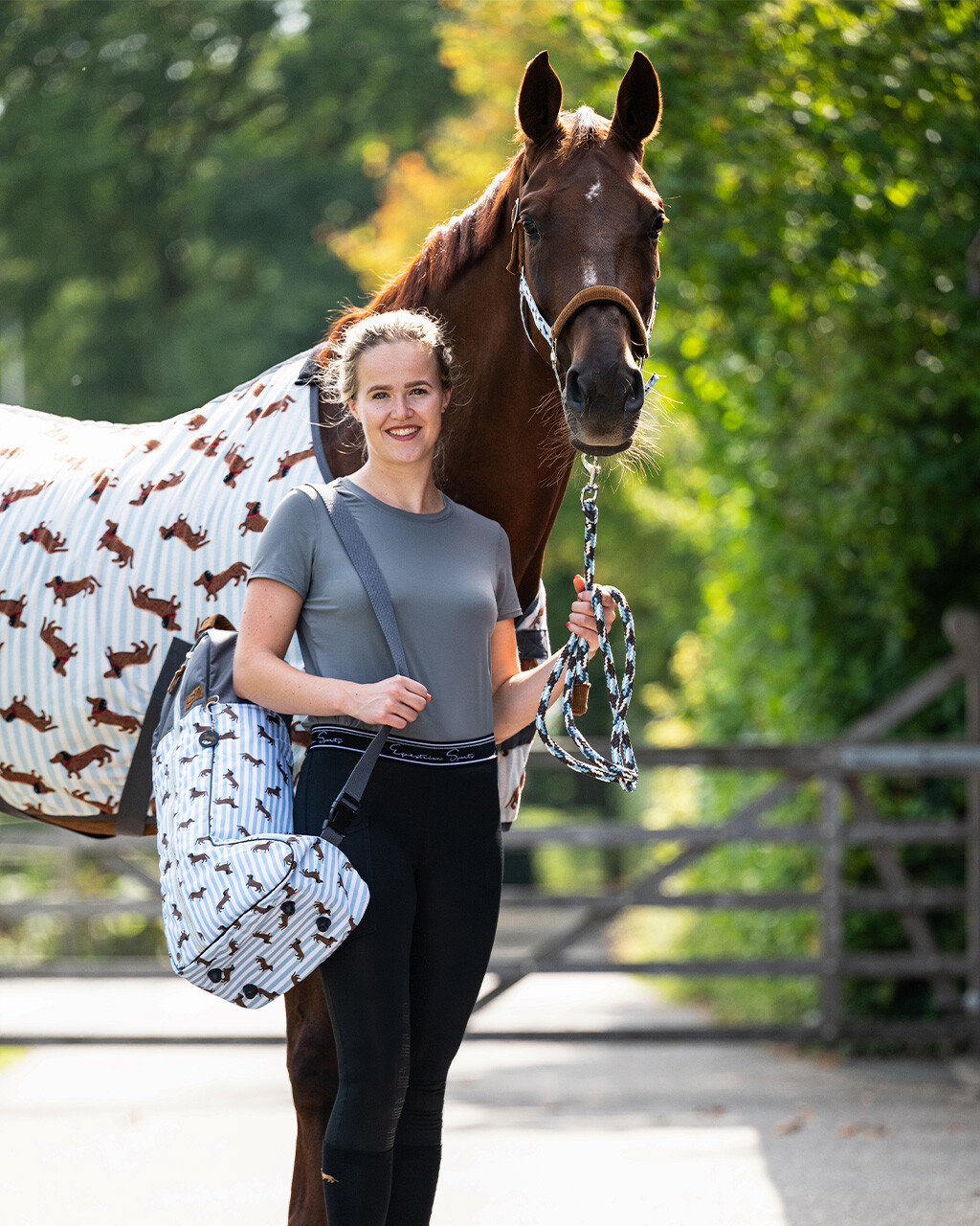 Head collar set Stable buddy