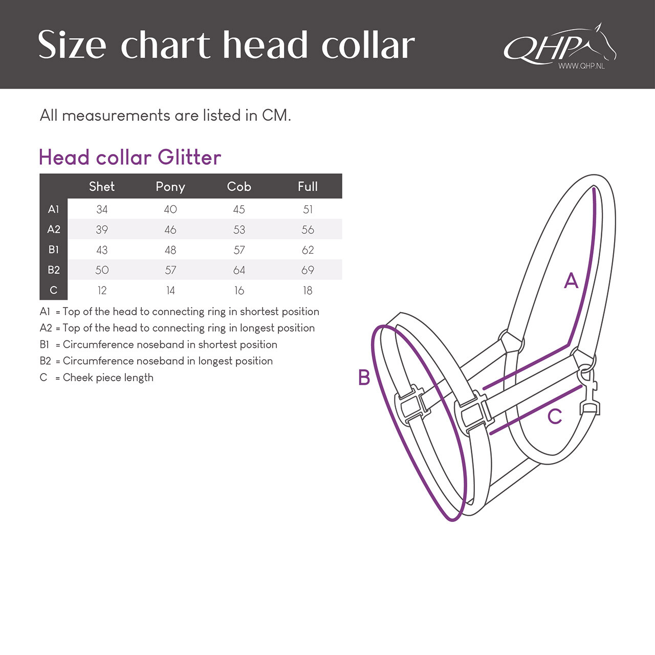 Head collar Glitter