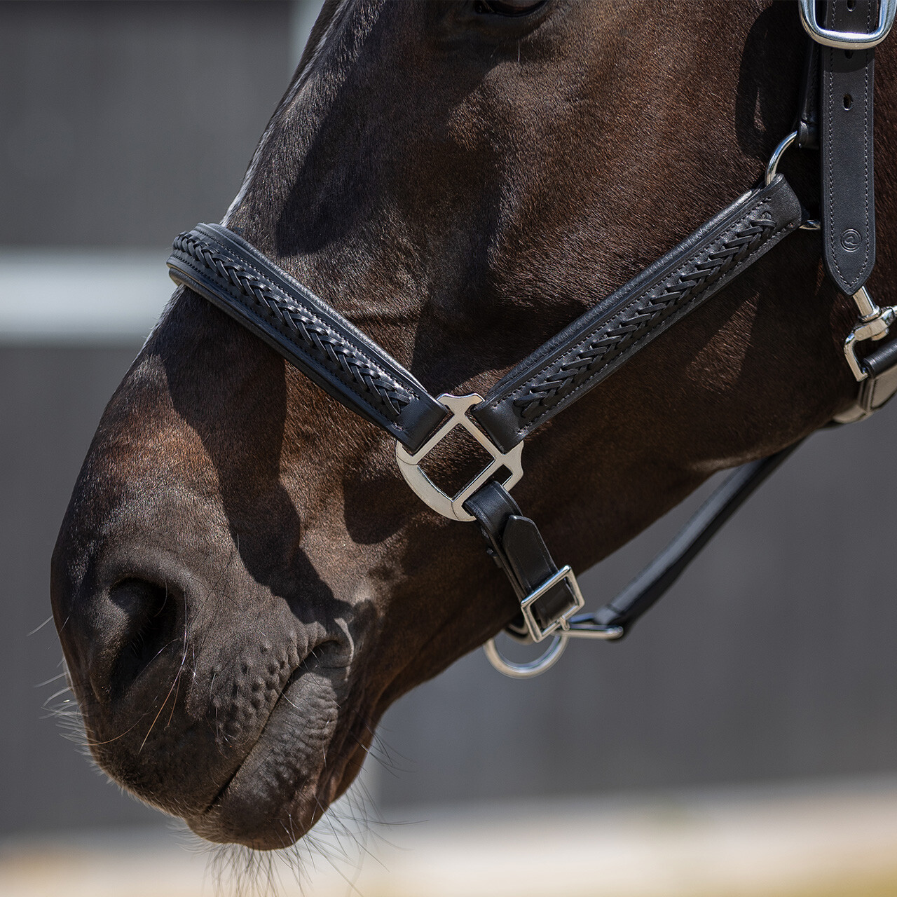 Head collar leather Jayze