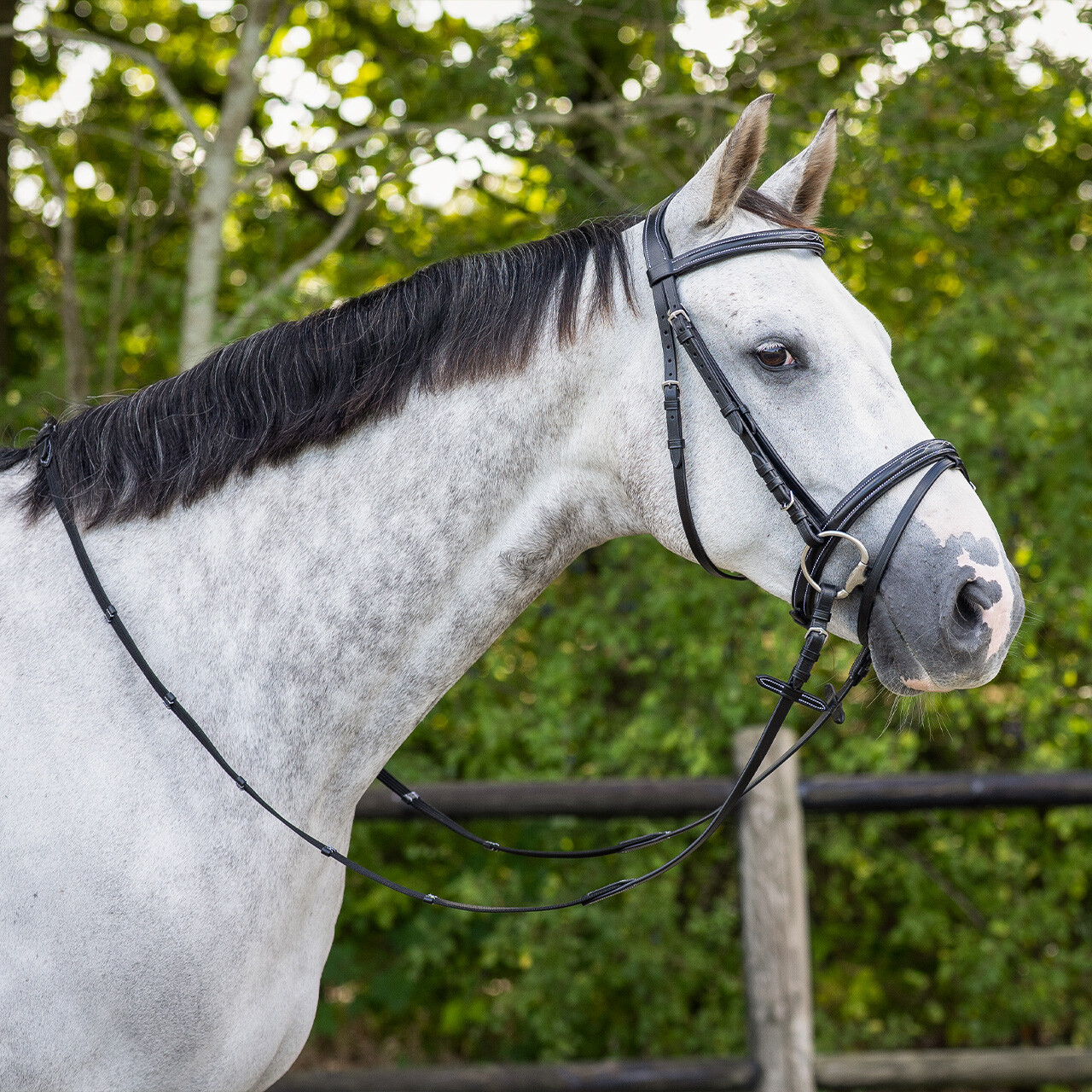 Bridle luxury stitched incl. reins