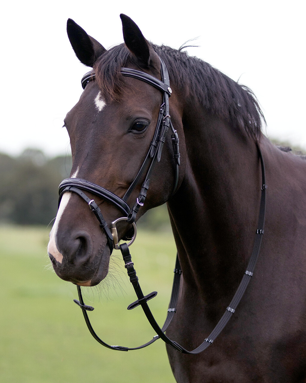 Bridle luxury stitched