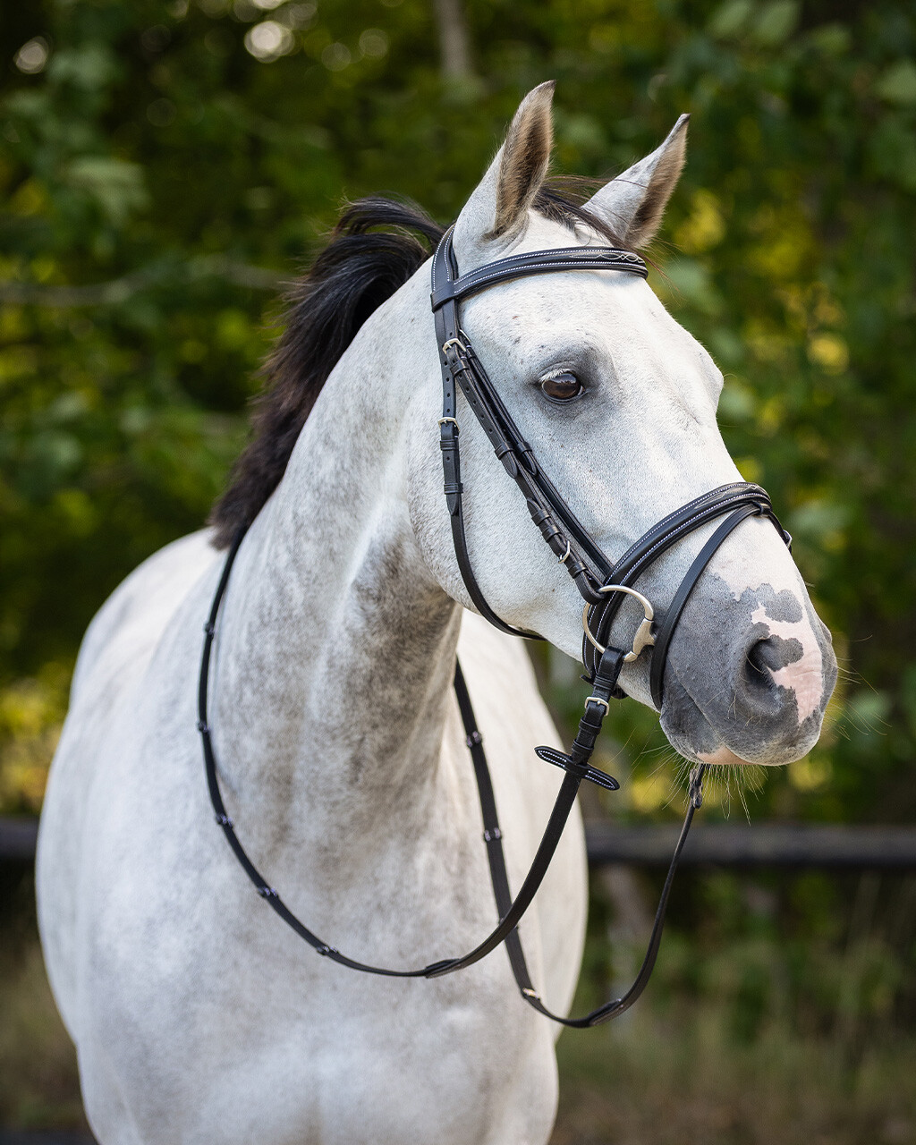Bridle luxury stitched incl. reins