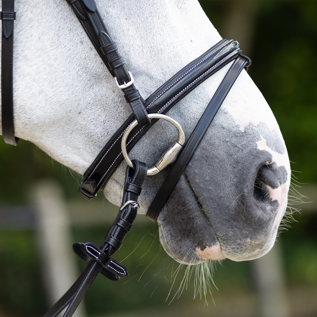 Bridle luxury stitched incl. reins