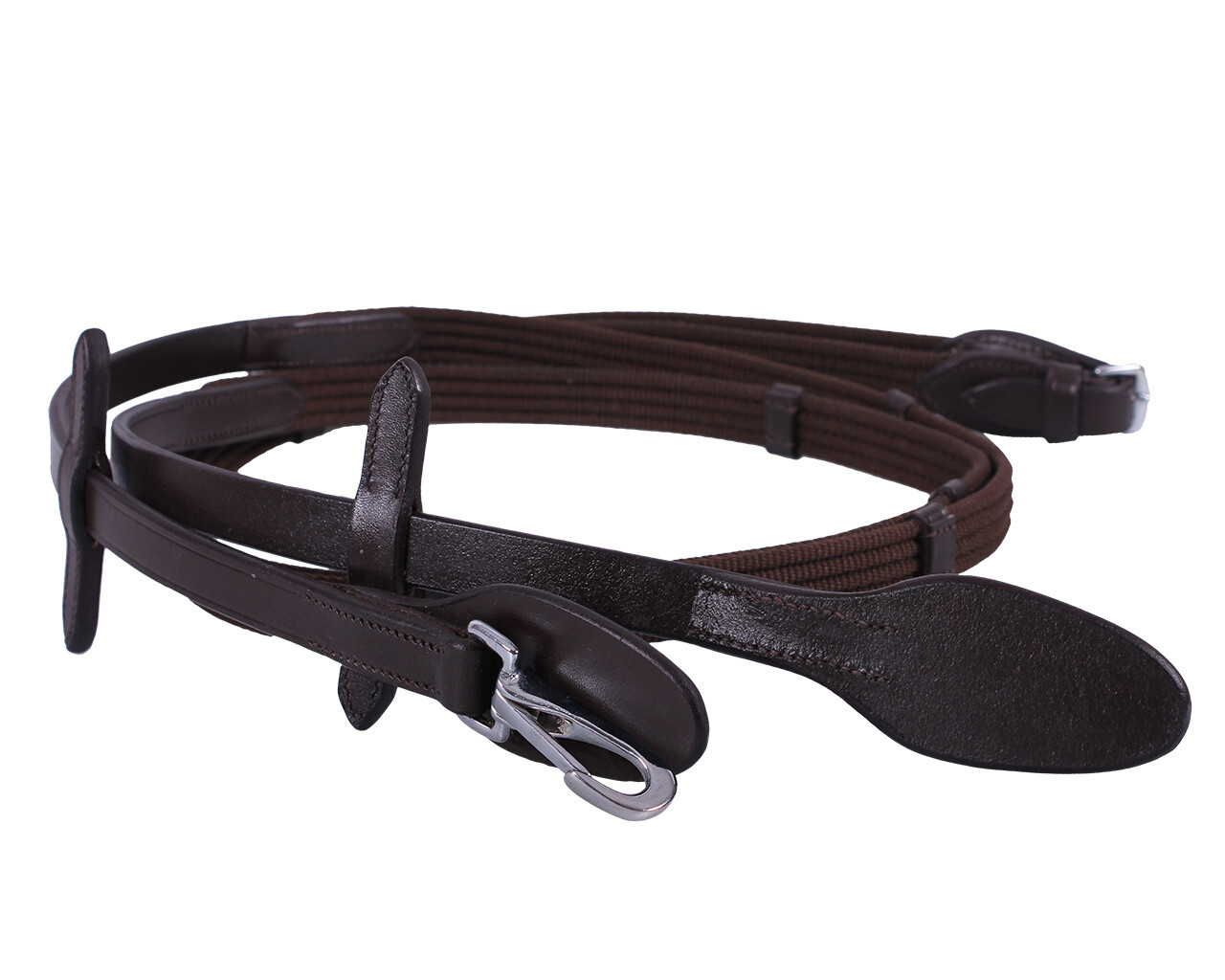 Web rein with clip