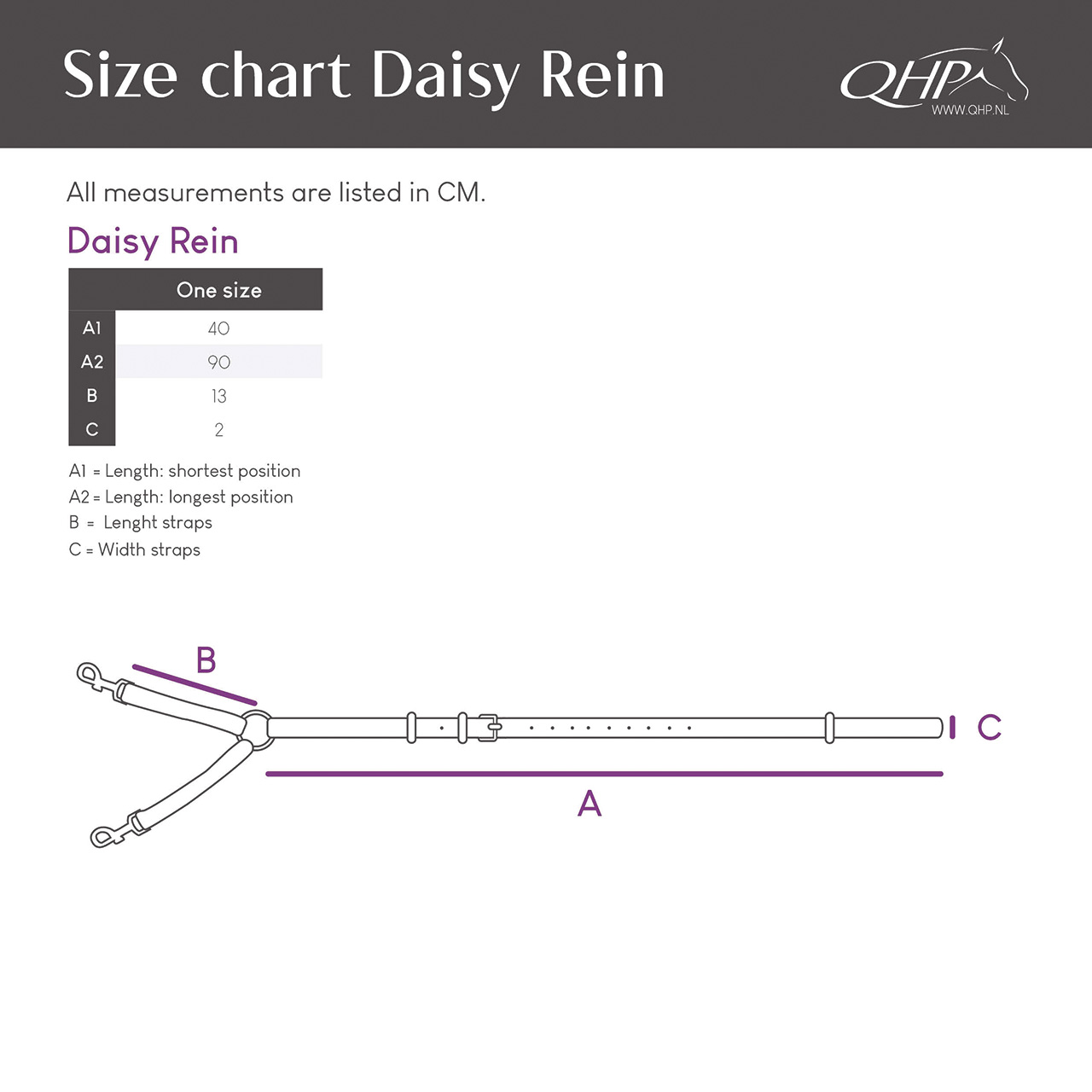 Daisy Rein