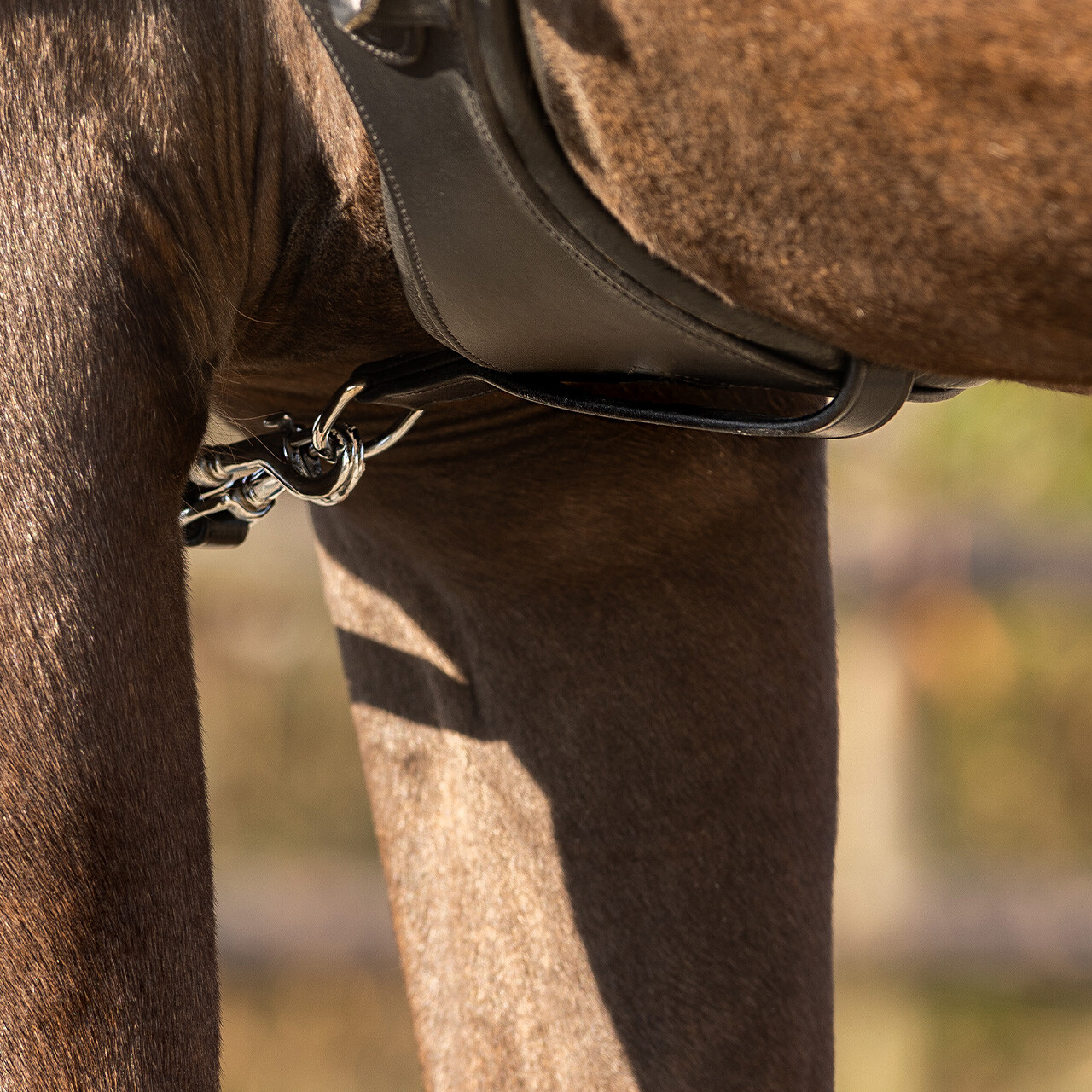 Draw reins Basic pro anti-slip