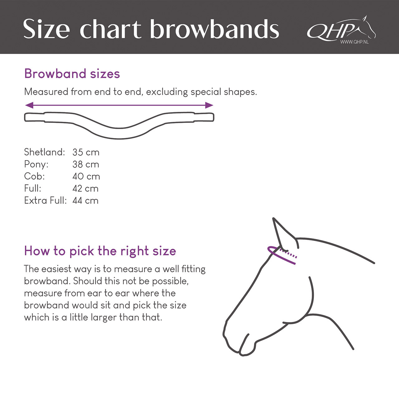 Browband Verbena
