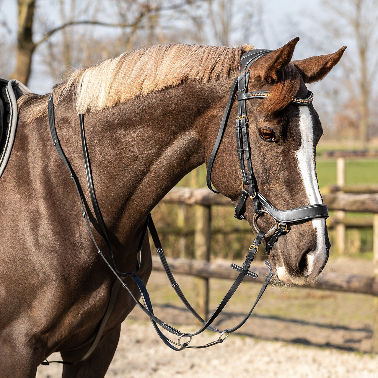 Základní Martingale pro Black