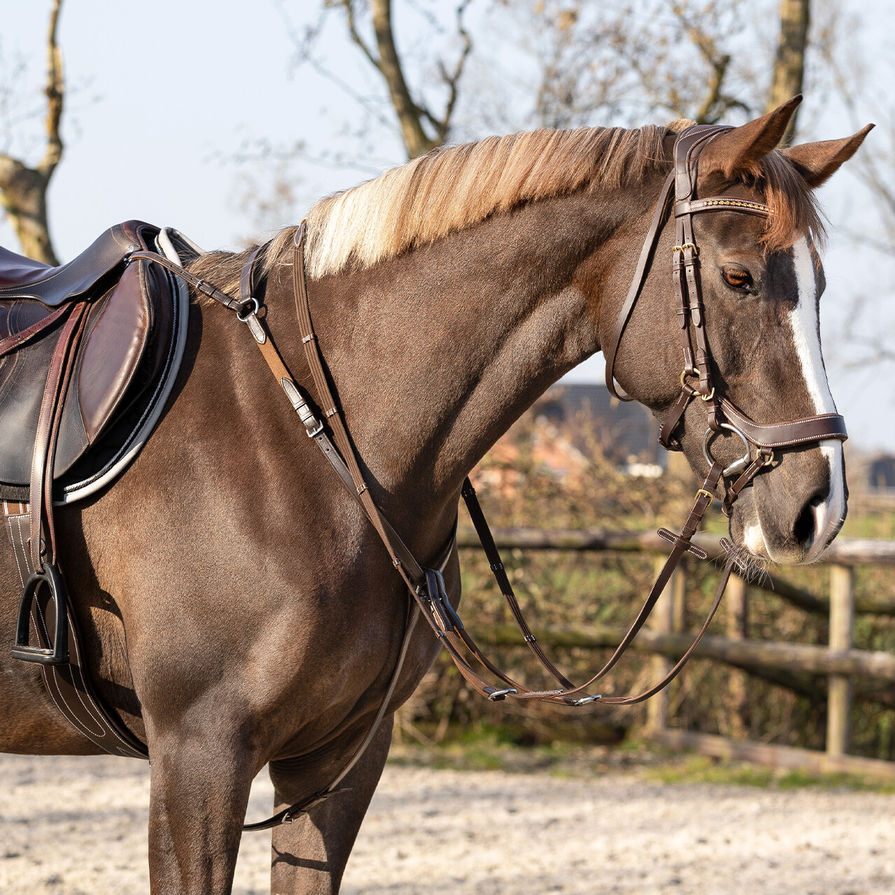 Breastplate Basic pro