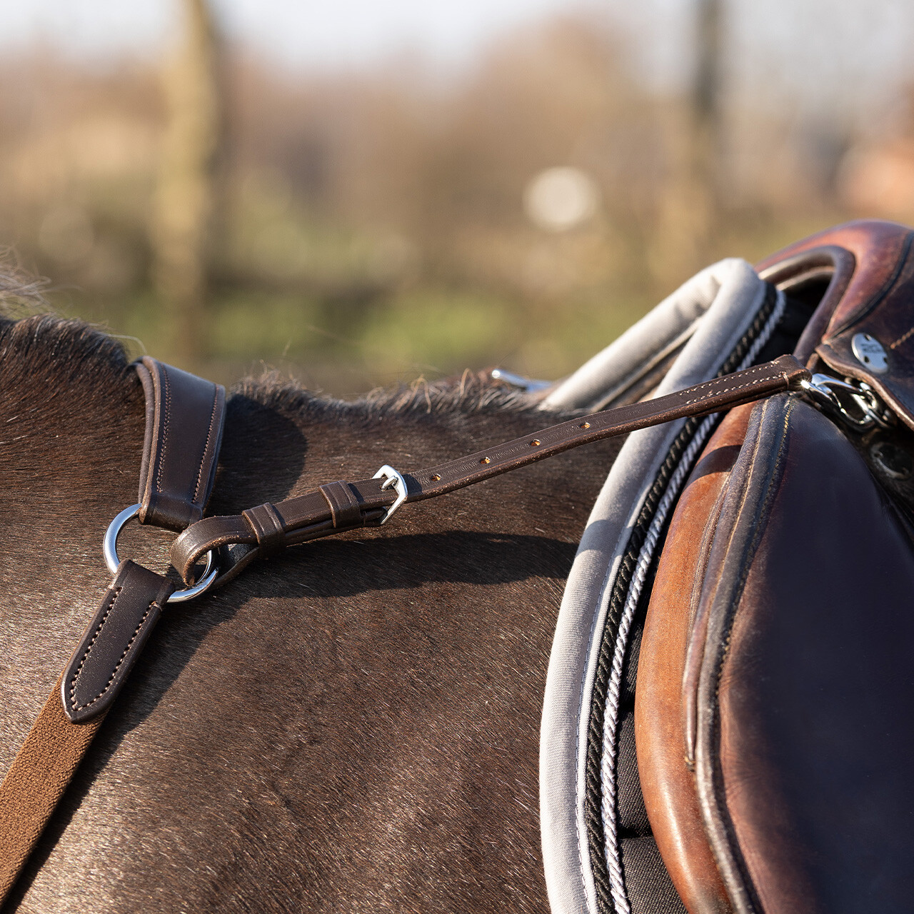 Breastplate Basic pro