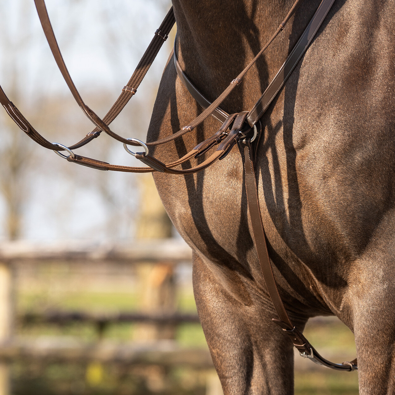Breastplate Basic pro