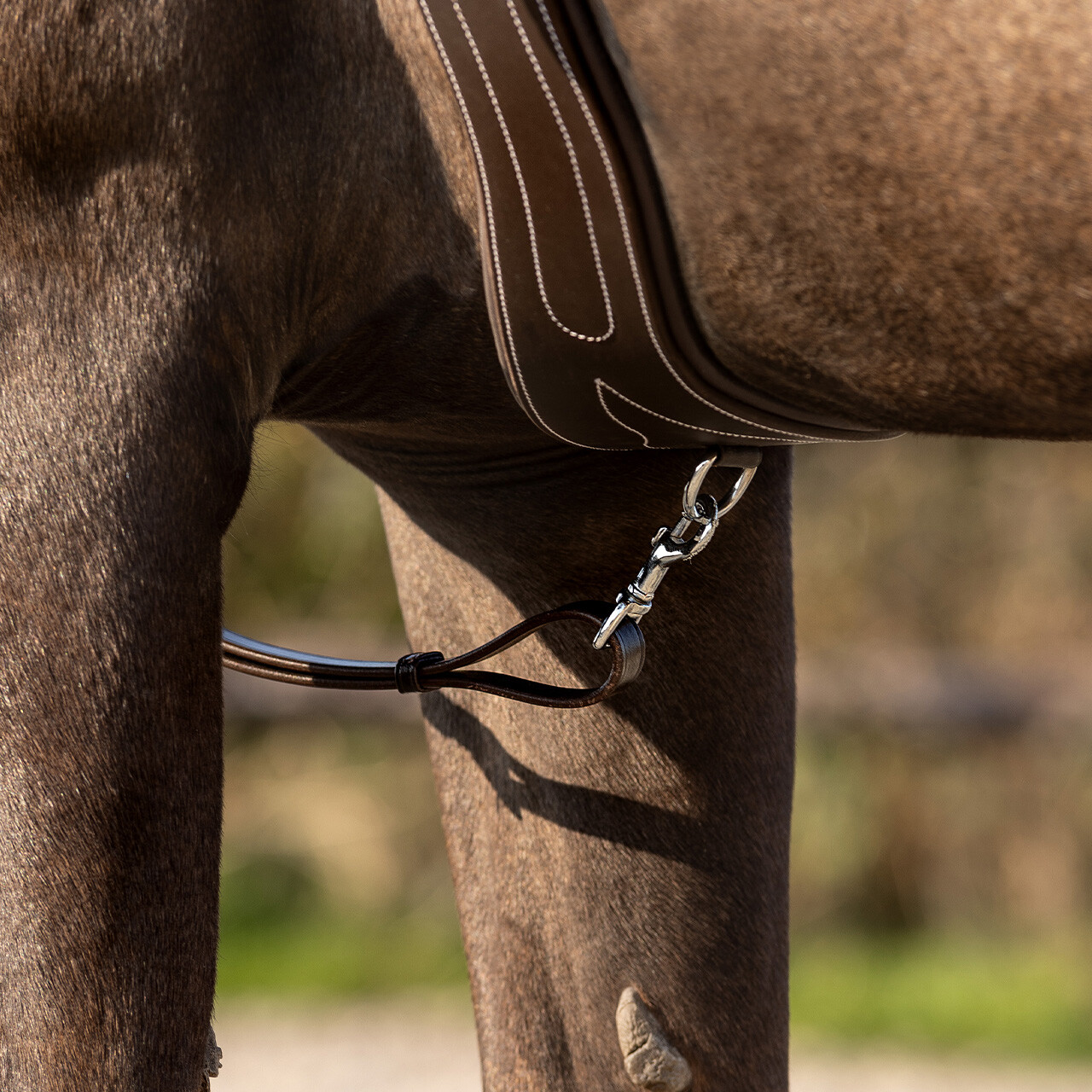 Breastplate Basic pro