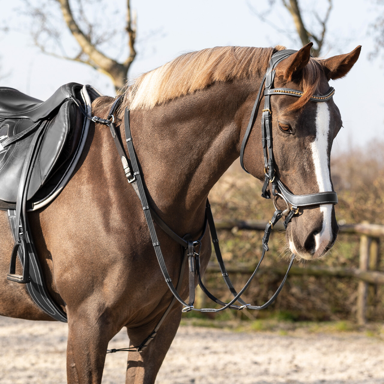 Breastplate Basic pro